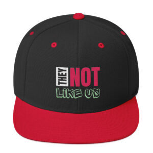 They Not Like Us Snapback Hat